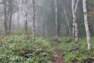 IMG_0351.jpg
