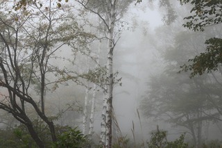 IMG_0393.jpg