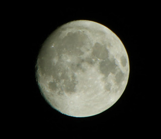 IMG_0608a.jpg