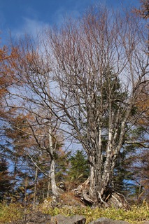 IMG_0944.jpg