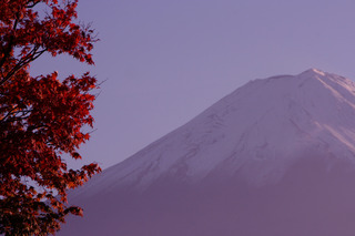 fuji2.jpg