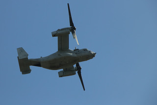 os1.jpg